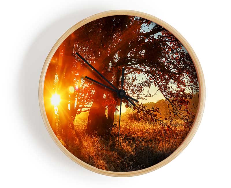 Red Sun Burst Tree Clock - Wallart-Direct UK