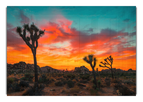 Sunset Desert Skies