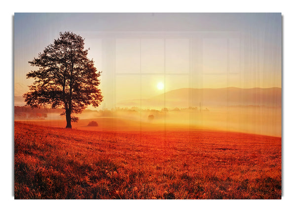 Autumn Sunset Fields