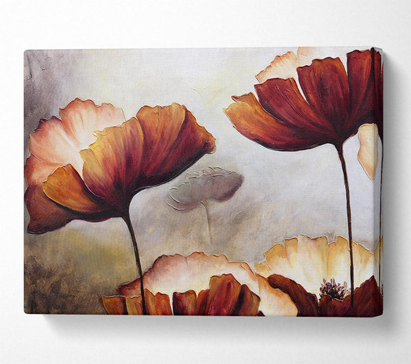 Picture of Chocolate Poppy Skies 2 Canvas Print Wall Art