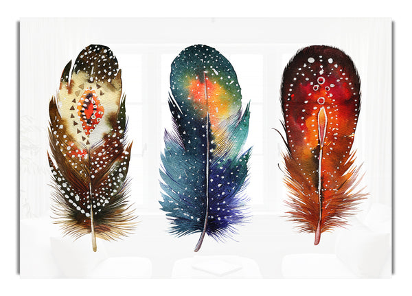 Indian Feathers