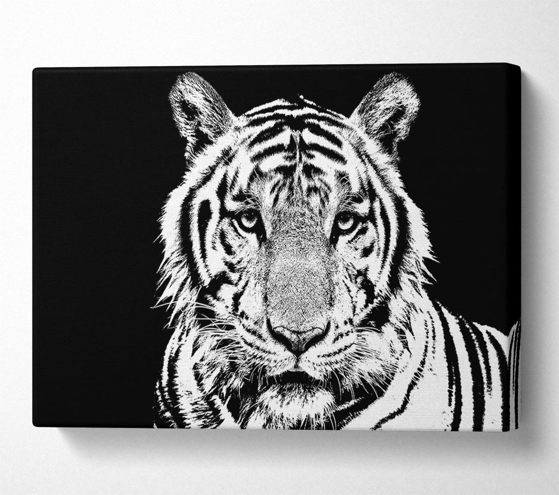 Picture of Stunning Tiger Face Canvas Print Wall Art