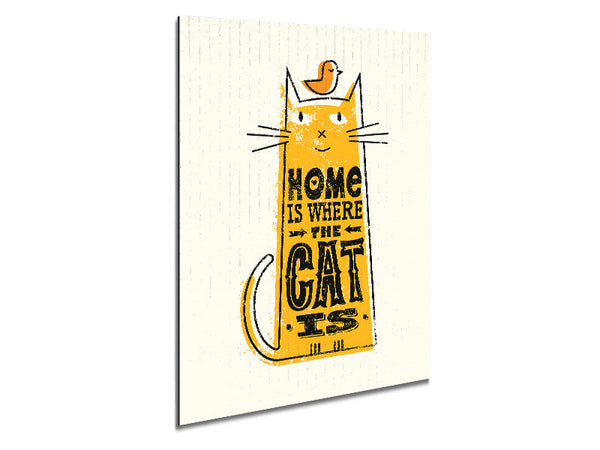 Home Is Where The Cat Is 2