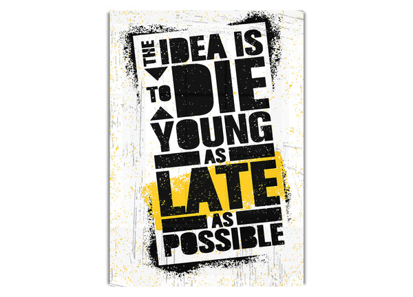 The Idea Is To Die Young