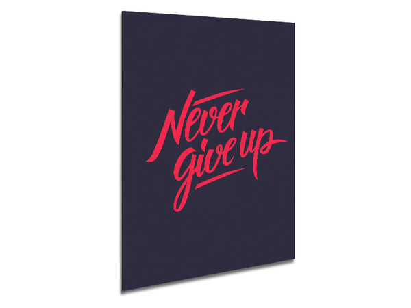 Never Give Up 1