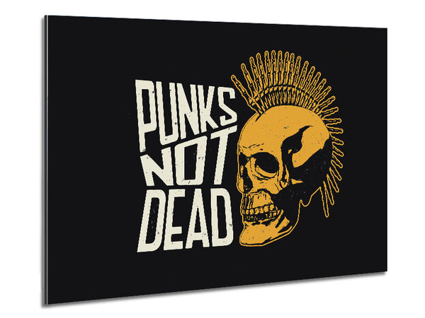 Punks Not Dead 1