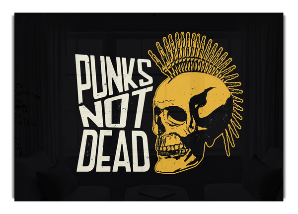 Punks Not Dead 1