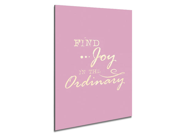 Find Joy In The Ordinary