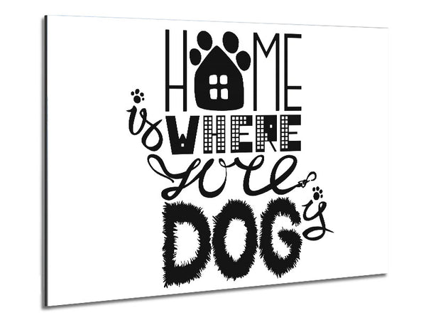 Home Is Where The Dog Is 2