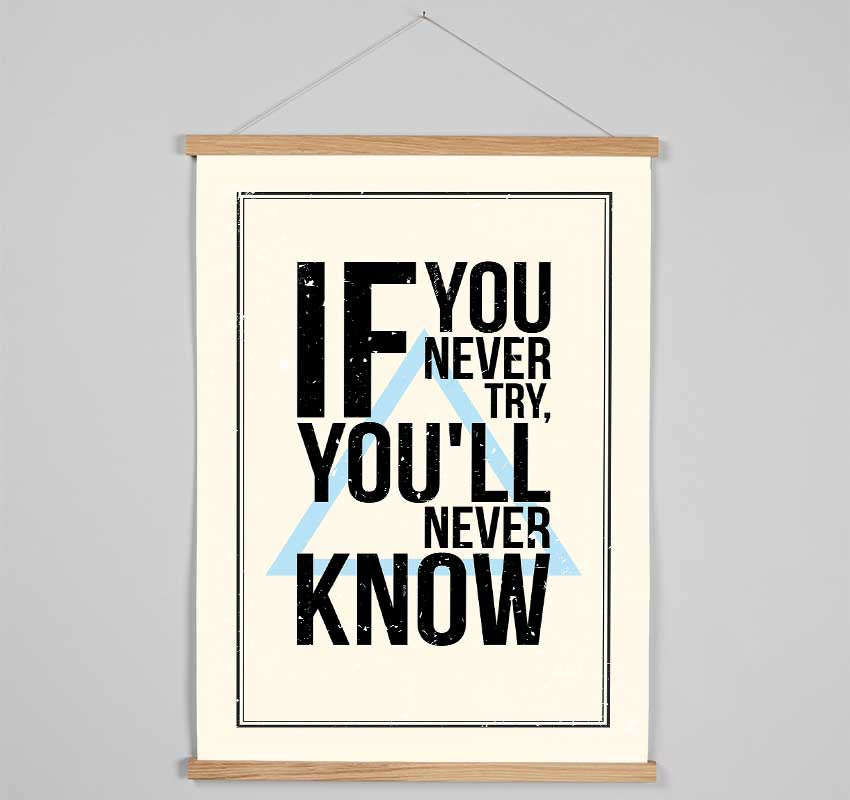 If You Never Try Hanging Poster - Wallart-Direct UK