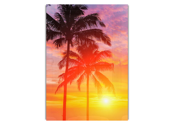 Sunset Palm Trees