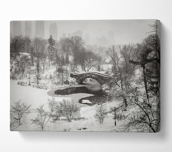 Picture of Snowing In Central Park Canvas Print Wall Art