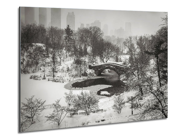 Snowing In Central Park