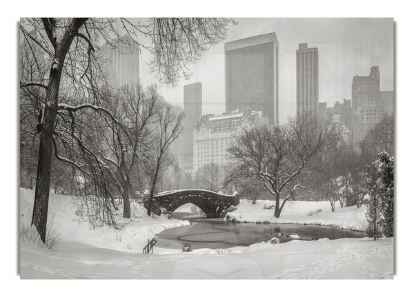 Winterschnee im Central Park