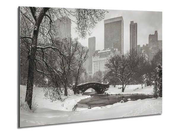 Winter Snow In Central Park