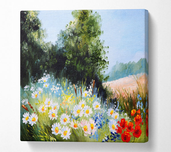 A Square Canvas Print Showing Daisy Days Square Wall Art