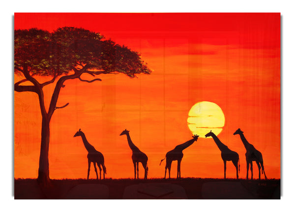 Giraffes At The Sunset