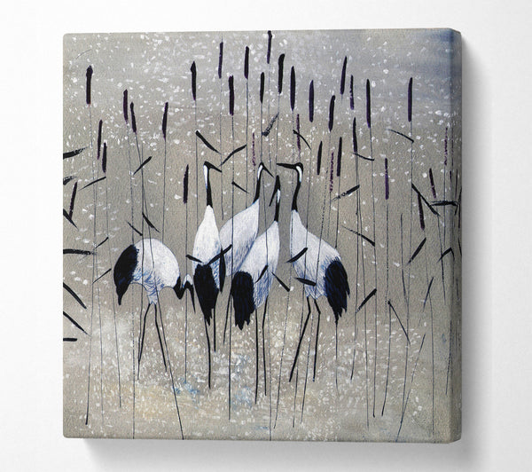 A Square Canvas Print Showing Bird Treat Square Wall Art