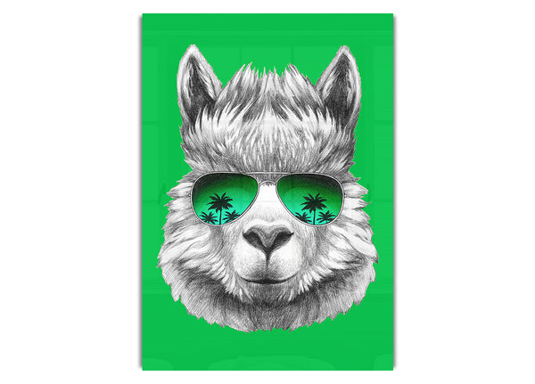 Llama Cool