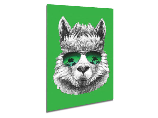 Llama Cool