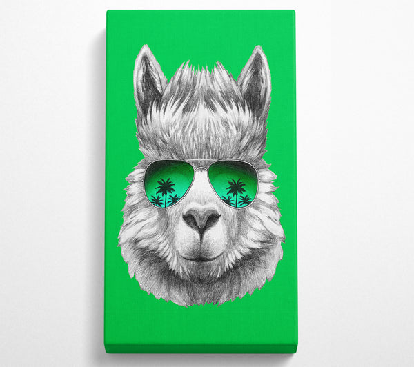 Llama Cool