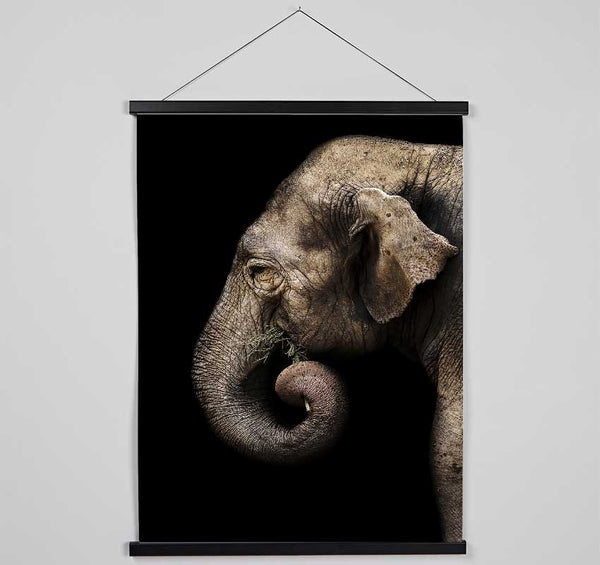 Elephant Feed Hanging Poster - Wallart-Direct UK