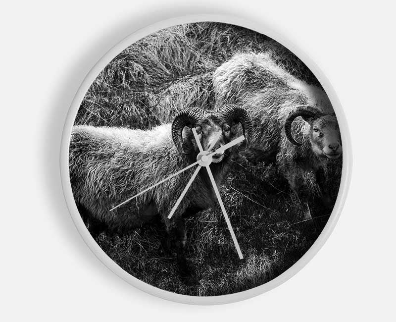 Ram Duo Clock - Wallart-Direct UK