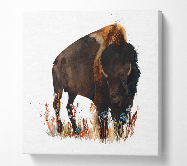 A Square Canvas Print Showing Bison Love Square Wall Art