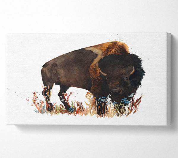 Bison Love