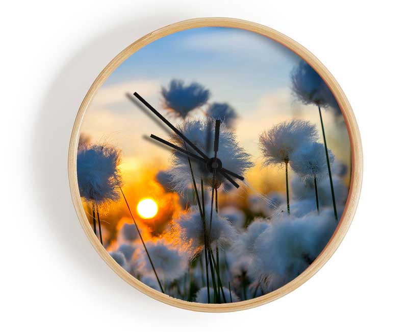 Cottonbuds In The Sunset Clock - Wallart-Direct UK