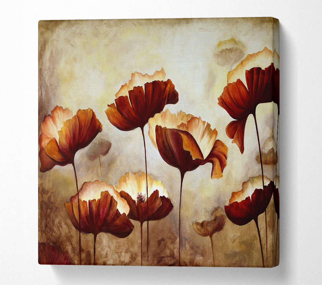 A Square Canvas Print Showing Chocolate Poppies Square Wall Art