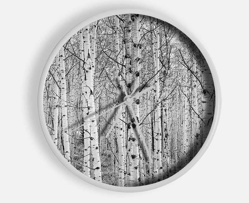 Just Silver Birch Clock - Wallart-Direct UK