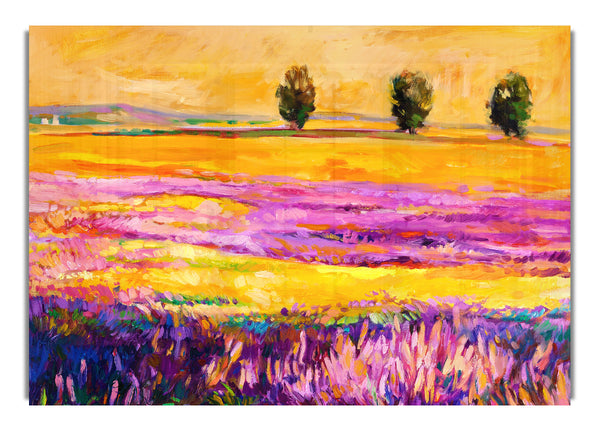 Pinks In A Field Of Gold Landscape