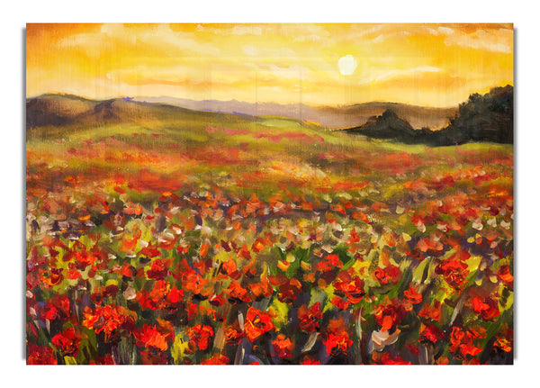 Poppy Field Sun