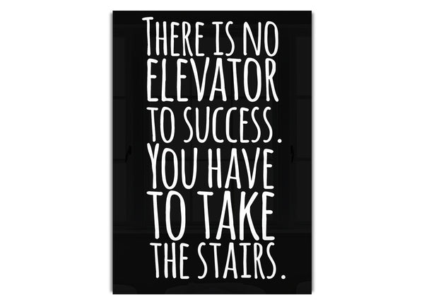 There Is No Elevation To Success