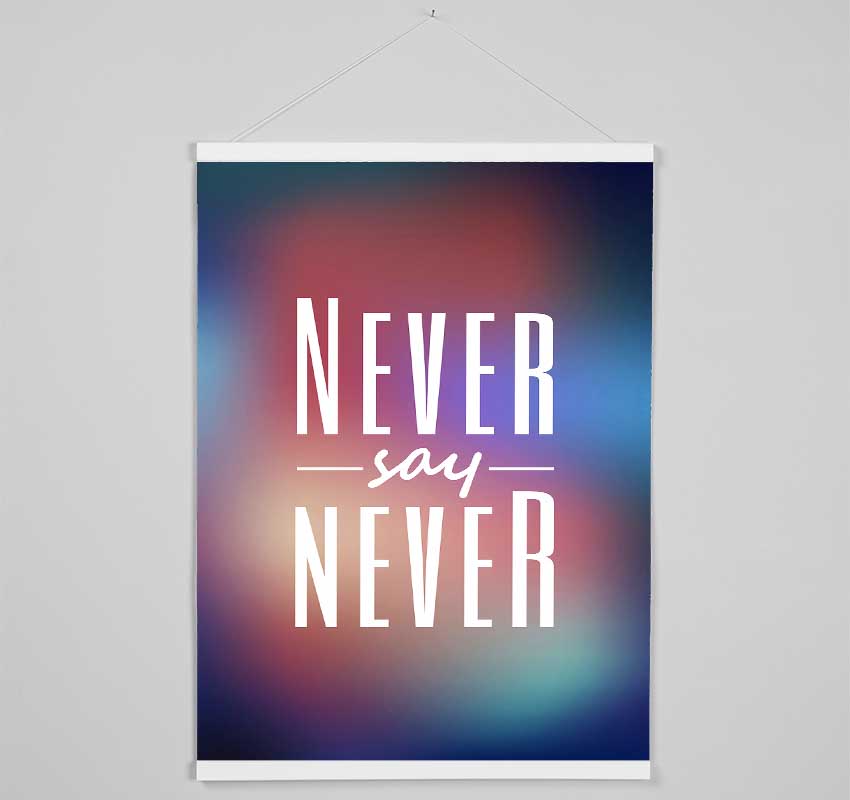 Never Say Never 2 Hanging Poster - Wallart-Direct UK