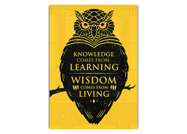 Knowledge And Wisdom