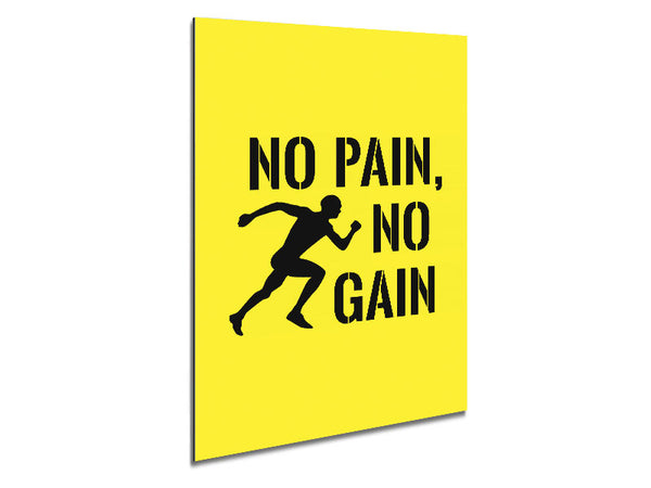 No Pain No Gain 3