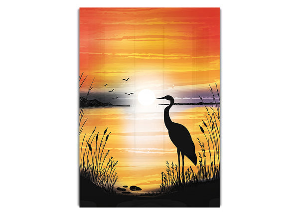 Beautiful Crane At Sunset