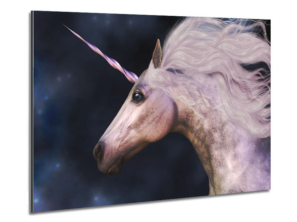 Stunning Universal Unicorn