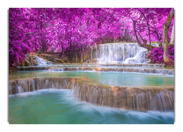 Pink Tree Beauty 2