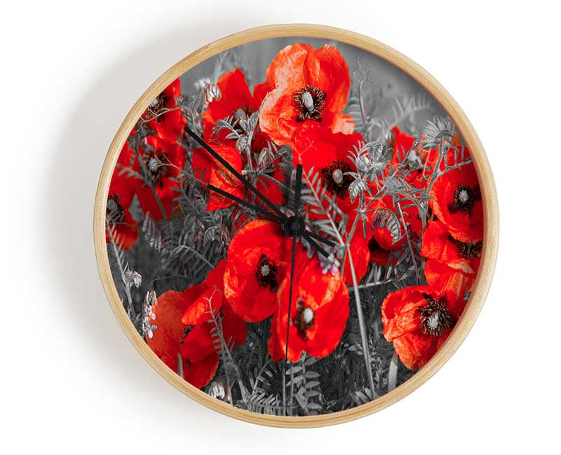 Red poppy closeup Clock - Wallart-Direct UK