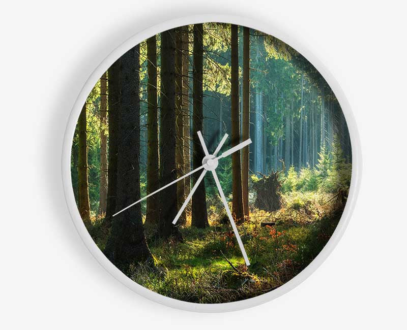 Magical forest sunset Clock - Wallart-Direct UK