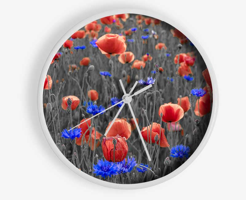 Red poppies blue field Clock - Wallart-Direct UK