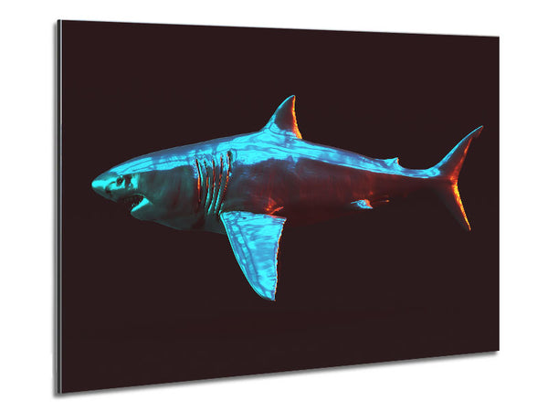 Blue shark in the deep sea