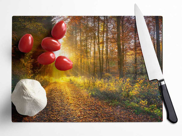 Woodland Walk In the Autumn Glass Chopping Board