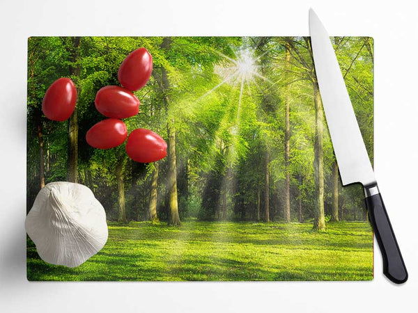 Green Woodland Scene Sunglare Glass Chopping Board