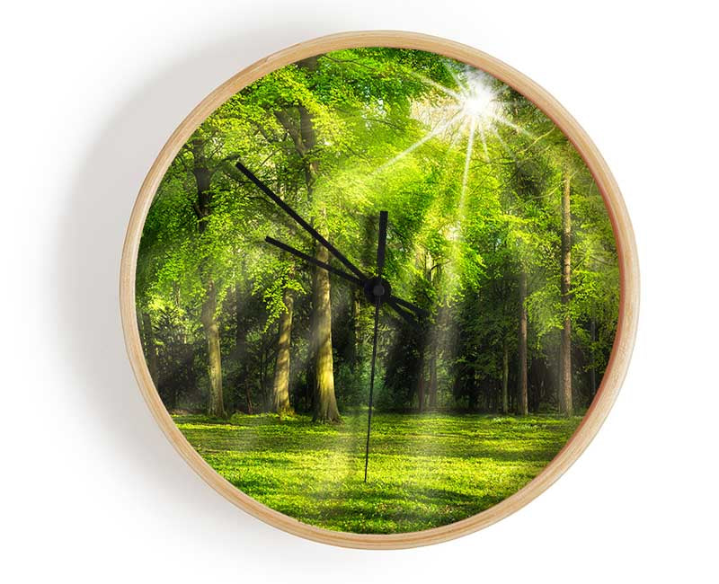 Green Woodland Scene Sunglare Clock - Wallart-Direct UK