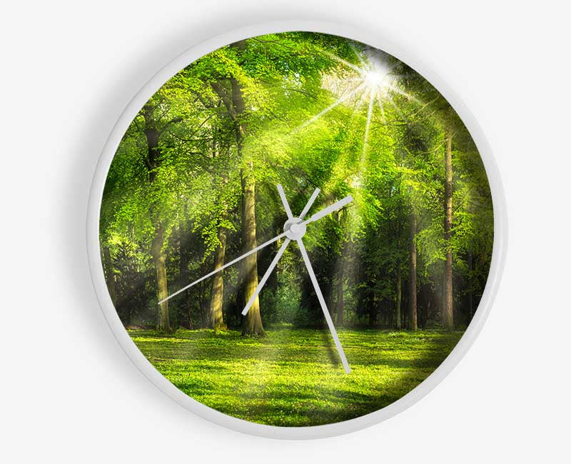 Green Woodland Scene Sunglare Clock - Wallart-Direct UK