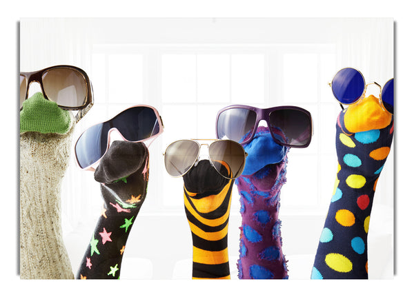 Sock Puppets with shades